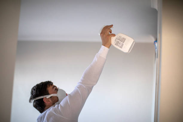 Certified Mold Removal in Crosby, MN