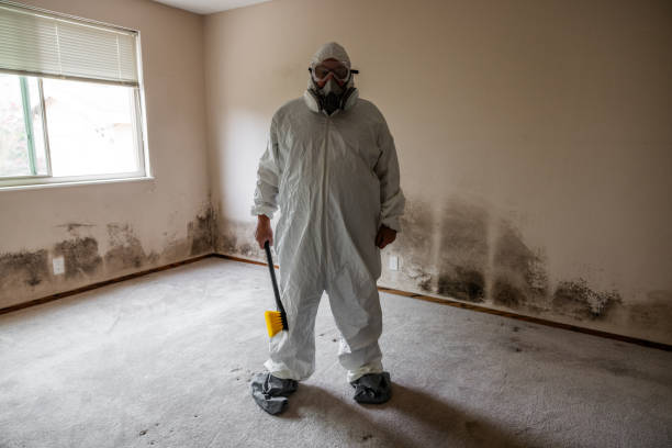 Best Residential Mold Removal  in Crosby, MN
